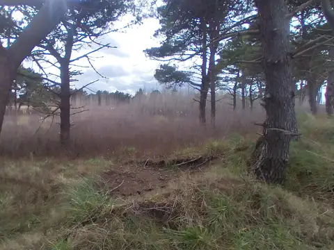 Terreno en Venta de 83,0 m2