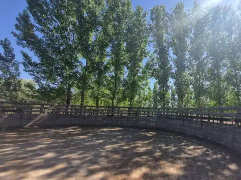 VENTA FINCA  2HA SAN MARTIN MENDOZA