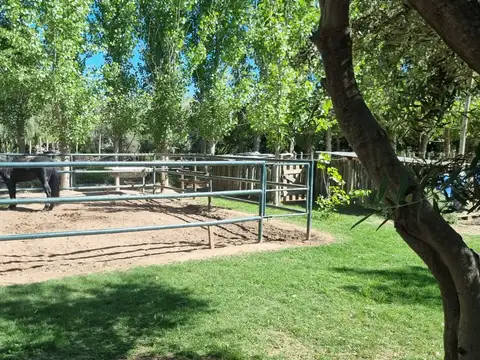 Carril Norte sin número - El Ramblón