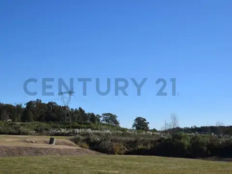 Camino a Baradero , Piso 0