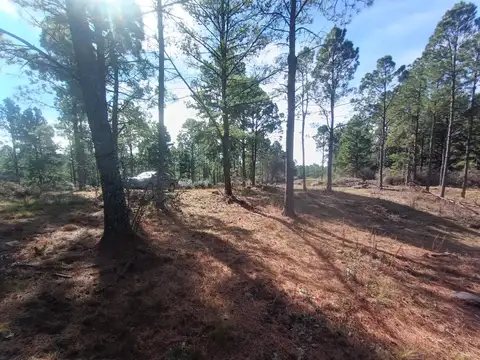 Terreno en Venta de 5000,0 m2