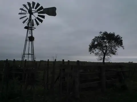 Campo en Venta con Alambrado