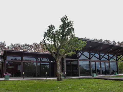 Terreno en Venta en Fighiera, USD 99.900