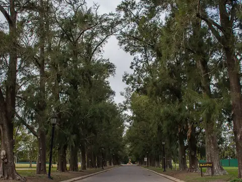 Azahares del Paraná, Terreno en Sector Ribera localidad de Fighiera