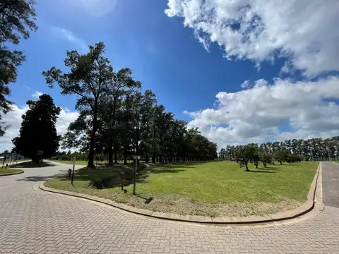 Terreno - Venta - Argentina, Fighiera