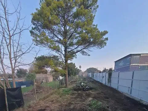 Avenida Salto y Jose Pedro Varela 1300