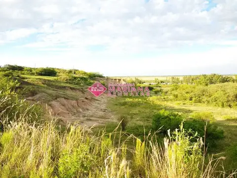 Callejon Vivero los 2 Pinos 100