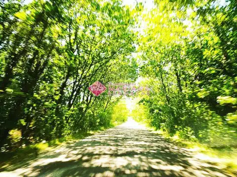 Terreno en Venta 50  mts Frente