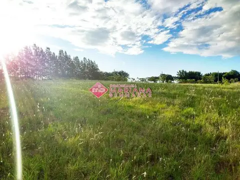 Callejon Vivero los 2 Pinos 100