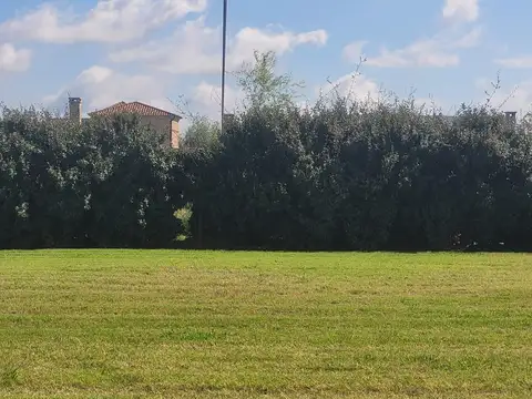 Terreno en Venta 19  mts Fondo