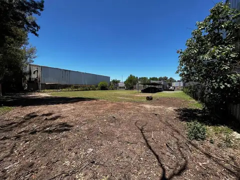 D Antonio Agripina 2246