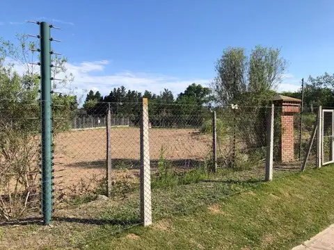 Terreno en Alquiler de 2675,0 m2