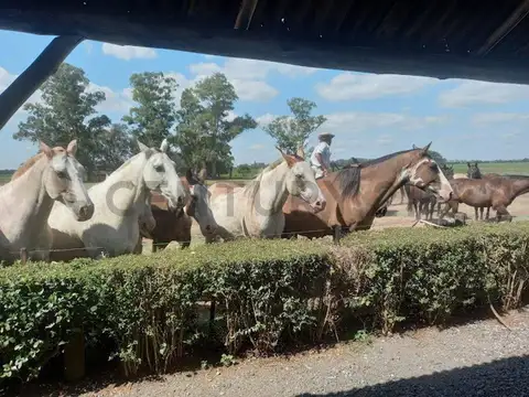 Terreno en Venta en Barrio El Campo - Fincas Exclusivas Cardales, USD 55.000