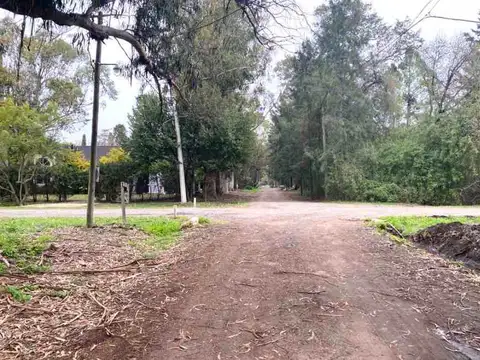 Lote en venta en el Carmencito