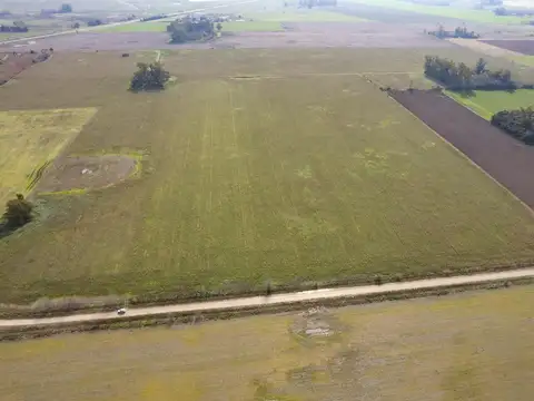 Campo de 5ha cercano ruta 41