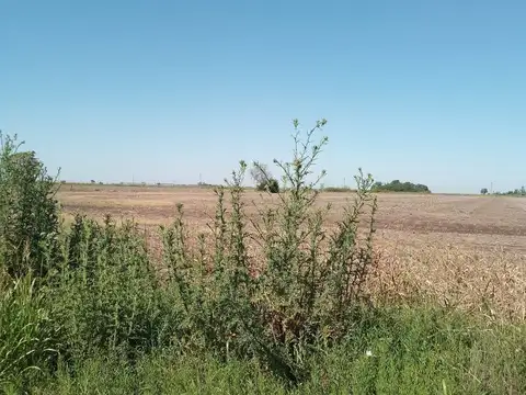 Lagomarsino 50 , Piso No definido