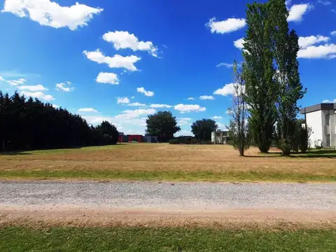 Terreno en Venta 40  mts Frente