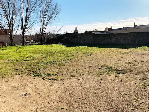 Consultar dirección