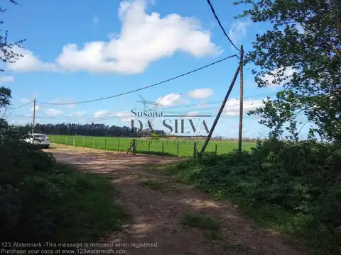 FRACCION DE CAMPO 8 ha Marcos Paz