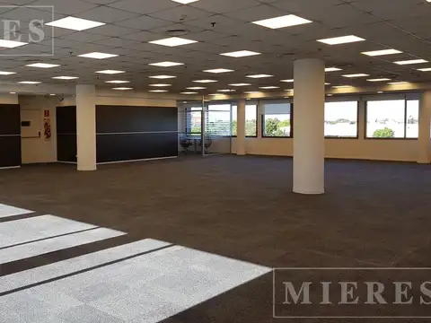 Oficina en Alquiler al Este