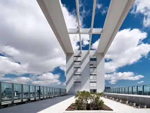 Cecilia Grierson al 300