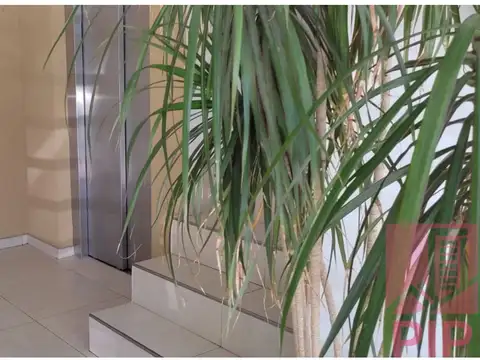 JUAN B. JUSTO 800, Piso 4