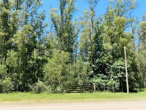 Terreno en Venta 70  mts Frente