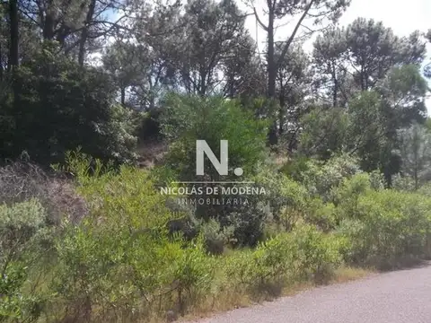 Venta terrenos en club del lago