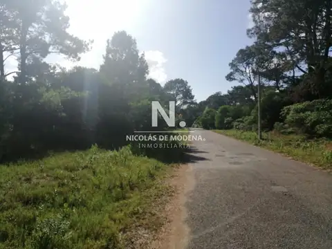 Terreno en Venta en Punta Ballena, USD 70.000