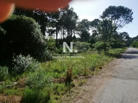 Terreno en Venta, FOT 40