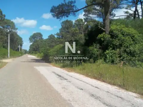 Terreno en Venta, FOT 40