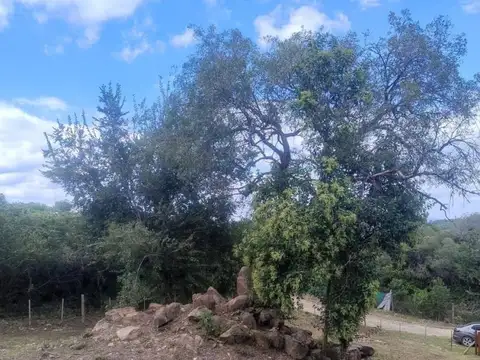 Terreno en Venta 42  mts Fondo