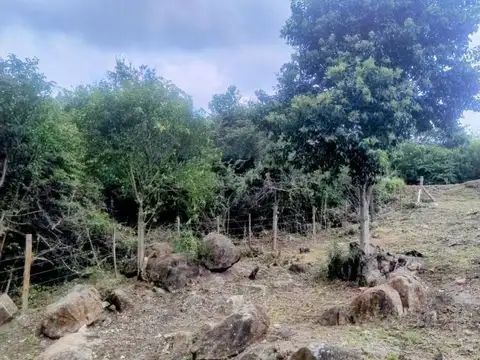 Terreno en Venta 39  mts Frente