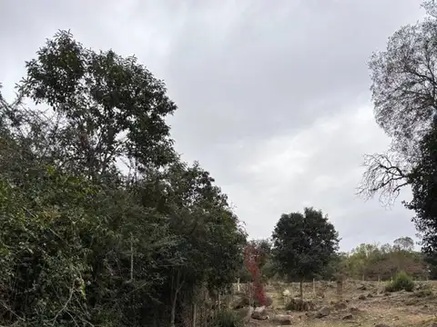 osvaldo pugliese , Piso 0