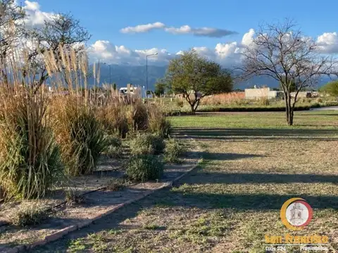 Terreno en Venta de 300,0 m2
