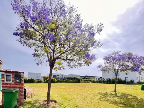 Boulevard Los Castaños 300