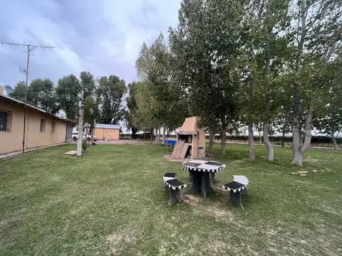 Venta finca Barrancas, Mendoza, 60 hectareas