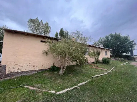 Venta finca Barrancas, Mendoza, 60 hectareas