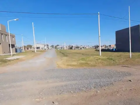 Campos del Oeste Alvear 100