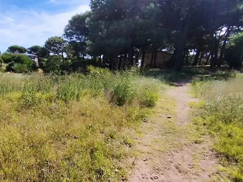 Venta Lote 900m2 400mts del mar Forestado Consulte!