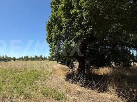 VENTA DE CHACRA EN FERRI CIPOLLETTI