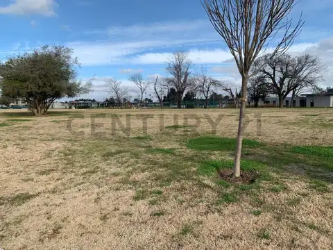 Manuel de Oliden 8900, Piso 0