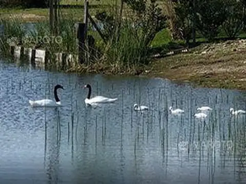 LOTE EN VENTA EN EL CANTON ISLAS - MAROTO PROPIEDADES