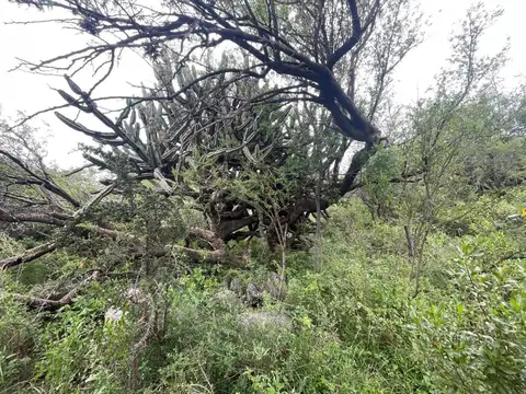 Lote 826 m2 frente al Uritorco Capilla del Monte