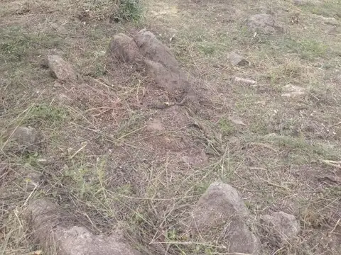 Terreno en Venta en Las Mojarras, USD 18.000