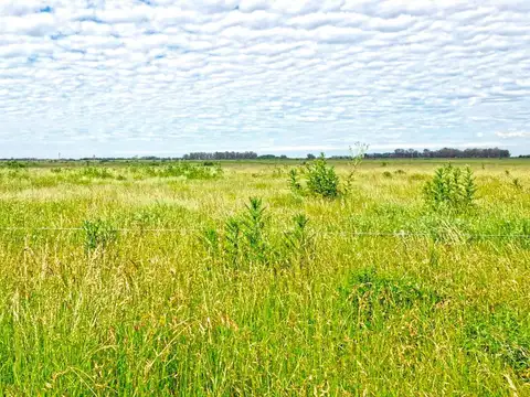Campo MIXTO en Mercedes - Provincia de Buenos Aires