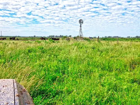 Campo MIXTO en Mercedes - Provincia de Buenos Aires
