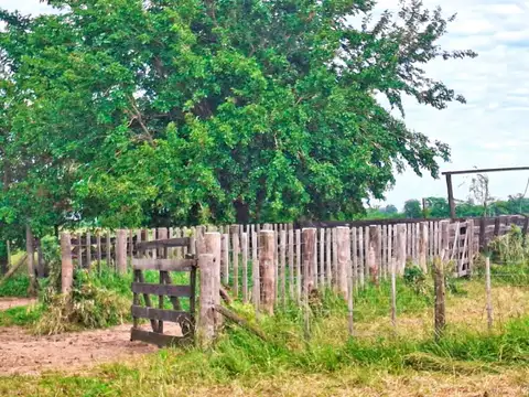 Campo MIXTO en Mercedes - Provincia de Buenos Aires