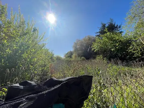Terreno en Venta en Joaquin Gorina, USD 150.000