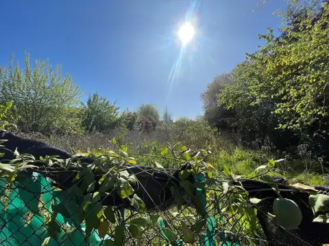 Terreno en Venta de 1582,0 m2